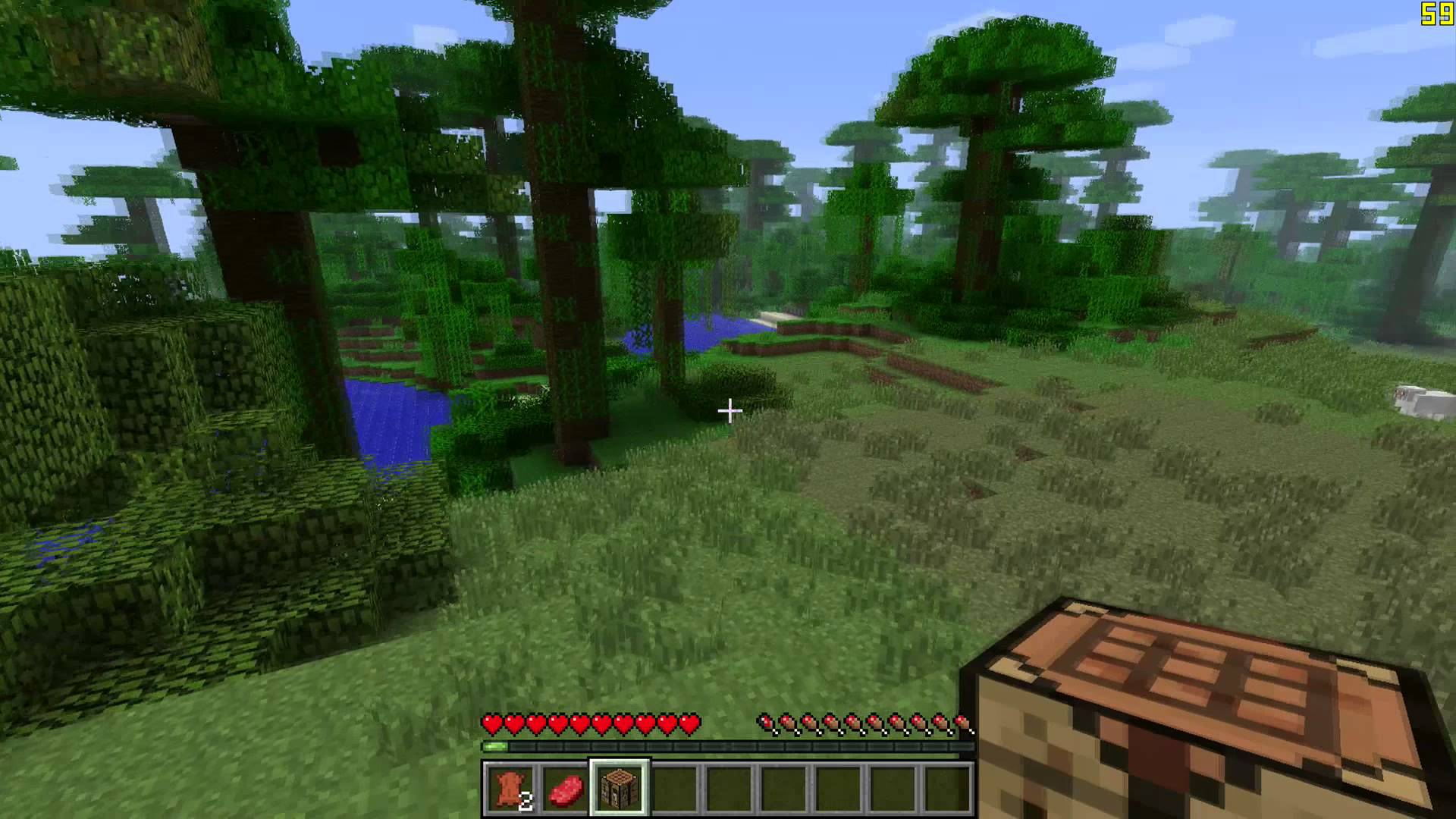 Minecraft