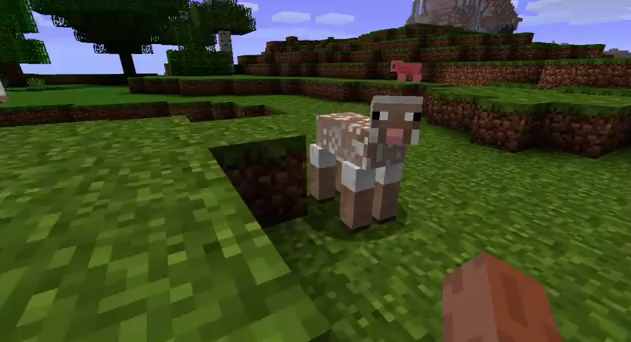 Minecraft